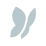 Redaktionssystem CMS