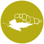 Konzeption Konzeption