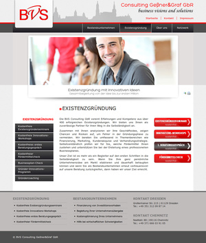 Webdesign BVS-Consulting&hellip;